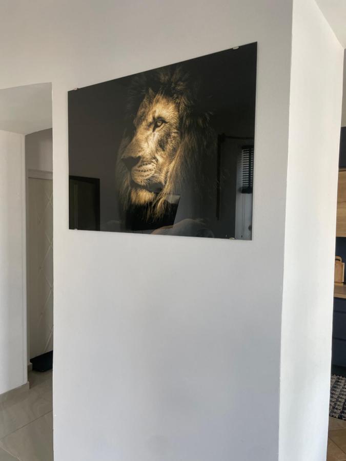 Apartament W Centrum Przy Studni 102M2 Daire Chełm Dış mekan fotoğraf