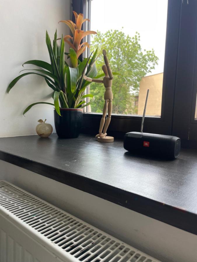 Apartament W Centrum Przy Studni 102M2 Daire Chełm Dış mekan fotoğraf